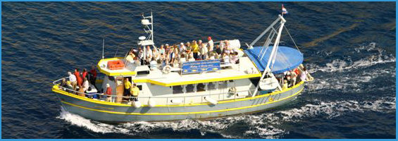 Panoramic cruise in Croatia